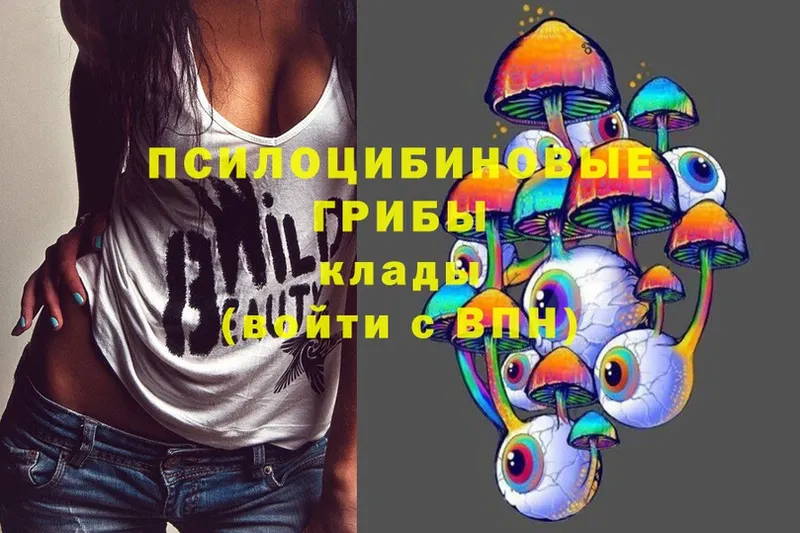 Галлюциногенные грибы Psilocybe  цены наркотик  kraken как зайти  Бахчисарай 